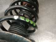 Stoßstangengitter LINKS LINKS 8200412381 Renault MEGANE II BERLINA 5P 1.6 16V