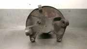 Achsschenkel Halter Links Vorne 5801341447 Iveco New Daily V Van 29L15V, 35C15LV, 40C15L, 50C15LV (F1AE3481C(Euro 5))