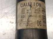 Stoßdämpfer Links Hinten L1TC18080DG Ford Puma SUV 1.0 Ti-VCT EcoBoost mHEV 12V (B7JB)