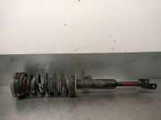 Stoßdämpfer Rechts Vorne 31316797766 BMW 5 serie Touring (F11) Kombi 520d 16V (N47-D20C)