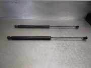 Gasdruckfedern Set Hinten 00520635010 Fiat TIPO II (357) FAM Easy