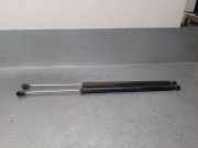 Gasdruckfedern Set Hinten 8731E5 Citroën Evasion Großraumlimousine 2.0 HDi (DW10TED(RHZ))