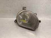 Nebelscheinwerfer Links Vorne 8P0941699A Audi Q7 (4LB) SUV 3.0 TDI V6 24V (BUG)
