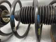 Stoßdämpfer Links Hinten Peugeot 207/207+ (WA/WC/WM) Schrägheck 1.4 16V Vti (EP3(8FS))