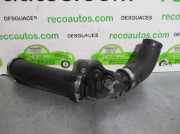 Schlauch 1205100813 Citroën C-Crosser SUV 2.2 HDiF 16V (DW12METED4(4HK))