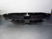 Grill 9635719477 Peugeot 307 (3A/C/D) Schrägheck 1.6 16V (TU5JP4(NFU))