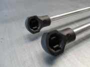 Gasdruckfedern Set Hinten 8200246092 Renault (BJ0) 2.0 16V Turbo