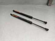 Gasdruckfedern Set Hinten 51247129194 BMW 3 serie (E92) Coupé 320i 16V (N43-B20A)