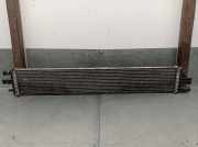 Radiator 214C10001RC Renault Master III (MA/MB/MC/MD/MH/MF/MG/MH) Van 2.3 dCi 16V (M9T-C7)