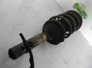 Stoßdämpfer Links Vorne RNB106010 Rover I Schrägheck (RF) 2.0 iDT
