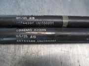 Gasdruckfedern Set Hinten 46744596 Fiat (188_) 1.3 JTD 16V