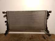 Radiator 214100006R Renault Laguna III Estate (KT) Kombi 5-drs 2.0 dCi 16V 175 FAP (M9R-815(M9R-R8))
