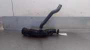 Schlauch 165761904R Renault Megane III Berline (BZ) Schrägheck 5-drs 1.2 16V TCE 115 (H5F-A400)