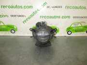 Nebelscheinwerfer Links Vorne 63172228613 BMW SERIE 3 TOURING (E46) 2.0 16V Diesel CAT