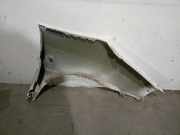 Kotfl?gel Links Vorne 9567247888 Fiat Scudo (220Z) Van 2.0 JTD 16V (DW10ATED4(RHW))