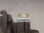 Türgriff Innen Links Hinten ST3RL Rover II (RT) 420 Si Lux