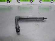 Kraftstoff-Injector 484391 Nissan ALMERA (N16/E) 2.2 16V Turbodiesel CAT