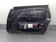 Türverkleidung Links Vorne 3R1867105 Seat Exeo ST (3R5) Kombi 2.0 TDI 16V (CAGA)