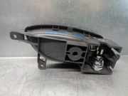 Türgriff Innen Links Hinten 80671JY Renault Bose Edition