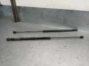 Gasdruckfedern Set Hinten Peugeot Schrägheck (7A, 7C, N3, N5) 1.9 D