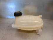 Ausgleichbehälter - - 217102572R Dacia Sandero III Schrägheck 1.0 TCe 90 12V (H4D-470(H4D-E4))