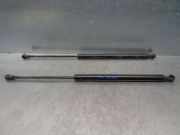 Gasdruckfedern Set Hinten 51785412 Fiat 500 (312) Schrägheck 1.2 69 (169.A.4000)