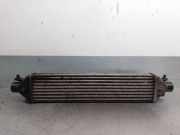 Ladeluftkühler 896255500 Fiat DOBLO 1.6 JTDM 16V CAT