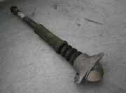 Sto?d?mpfer Rechts Hinten 6Q0512011BN Volkswagen Polo IV (9N1/2/3) Schr?gheck 1.9 TDI 100 (AXR) AXR