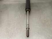 Tür Links Vorne 41515A2A3A5 BMW 5 serie Touring (E61) Kombi 525d 24V (256D2)