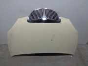 Motorhaube BEIGE Lancia Ypsilon (843) Schrägheck 1.4 16V (843.A.1000)
