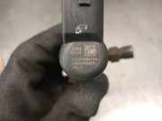 Kraftstoff-Injector 8200380253 Renault Grand Scénic II (JM) Großraumlimousine 1.5 dCi 105 (K9K-732)