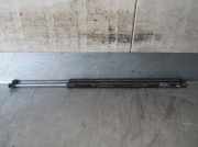 Gasdruckfedern Set Hinten 8200021974 Renault IV (JK0/1_) 1.9 dCi (JK0U)