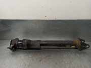 Stoßdämpfer Rechts Hinten A2513200631 Mercedes-Benz CLASE 3.0 CDI CAT