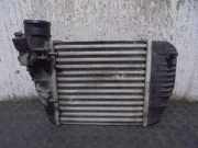 Handgriff Kofferraum 908106PA0A Nissan Juke (F16) SUV 1.0 DIG-T 117 12V (HRA0)