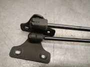 Gasdruckfedern Set Hinten BM51N406A10AD Ford Focus 3 Wagon Kombi 1.0 Ti-VCT EcoBoost 12V 125 (M1DD)