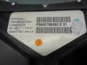 Klima Pumpe 46438576 Fiat Brava (182B) Schrägheck 5-drs 1.6 16V (182.A.4000)