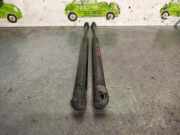 Gasdruckfedern Set Hinten 96540939 Daewoo / Chevrolet Kalos (SF48) Schrägheck 1.2 (B12S1)