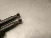 Gasdruckfeder Set Vorne 654705053R Renault III Autobús (JG_) 1.6 dCi 95 (JGMR, JGMJ)