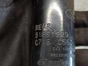 Stoßdämpfer Links Hinten 51891929 Ford Ka II Schrägheck 1.2 (169.A.4000)