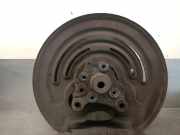 Achsschenkel Halter Links Hinten 4304100QAA Nissan Primastar Van 2.0 dCi 120 (M9R-780(Euro 5))