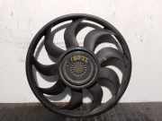 Kühlerventilator 214815679R Renault LAGUNA III 2.0 dCi Diesel CAT