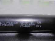 Gasdruckfeder Set Vorne 654704175R Dacia DOKKER 1.5 dCi Diesel FAP CAT