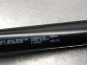 Gasdruckfedern Set Hinten 9825534780 Peugeot 2008 (UD/UK/UR/US/UX) Großraumlimousine 1.5 BlueHDi 110 (YHS)
