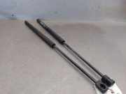 Gasdruckfeder Set Vorne 7L6823359B Volkswagen Touareg (7LA/7L6) SUV 2.5 TDI R5 (BPE) BPE