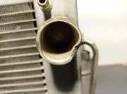 Radiator 8200221498 Renault Clio III (BR/CR) Schrägheck 1.4 16V (K4J-780)