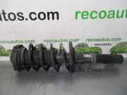 Stoßdämpfer Links Vorne 6Q0413031BJ Skoda Fabia (6Y3) Limousine 1.4 TDI 70 (BNM)