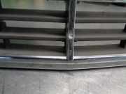 Grill A2028880023 Mercedes-Benz C (W202) Limousine 2.5 C-250 TD 20V (OM605.960)