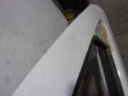 Tür Rechts Vorne 6K4831052C Seat Inca (6K9) Van 1.9 SDI (AYQ)