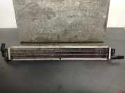 Katalysator LX61SE211PA Ford Focus 4 Schrägheck 1.0 Ti-VCT EcoBoost 12V 125 (B7DA)