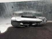 Türgriff Außen Ra 806060041R RENAULT MEGANE III BERLINA 5 P 1.9 dCi Diesel